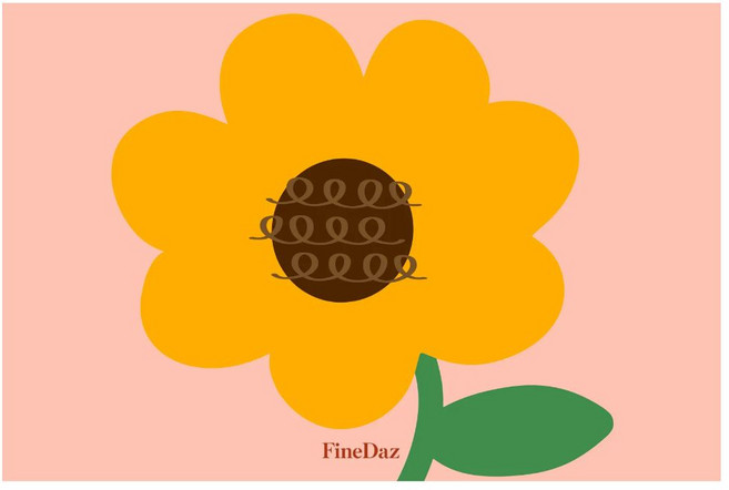 파인다즈 블레싱 빨아쓰는 규조토 발매트, 해바라기 커브