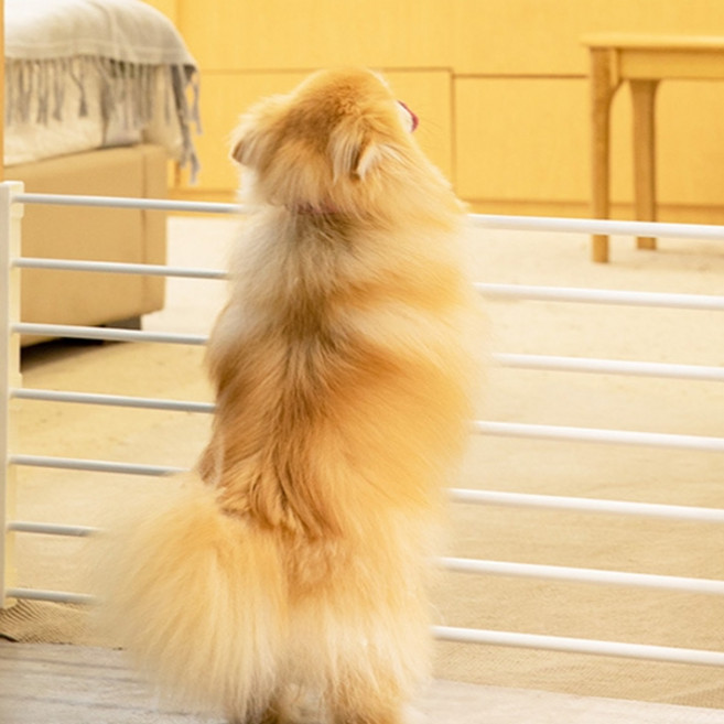 강아지 울타리 실내 안전문 폭조절 고양이 반려동물, 높이 24cm, 1개