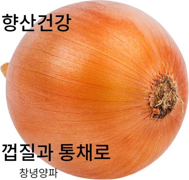 (홍열팜) 당뇨 고지혈증영양제 양파즙, 30개, 110ml