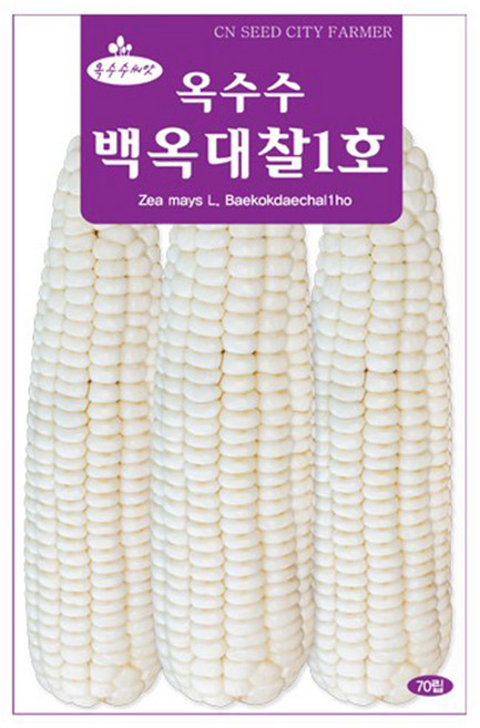 백옥대찰1호 옥수수씨앗 찰옥수수씨 70립, 5개