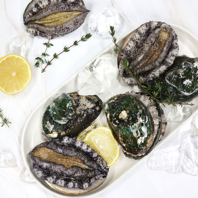 완도전복마을 큰전복 1kg, 1개, 중 1kg (13-15미) 산소포장