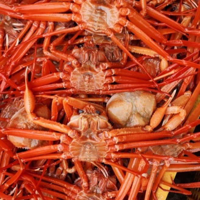 싱싱햇 자숙 홍게 박달 홍개, 자숙홍게, 1박스, 4kg(10미 내외)