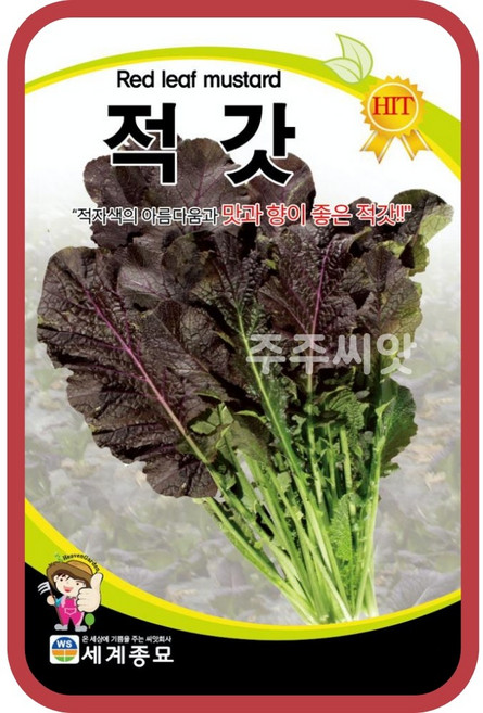 주주씨앗 채소 씨앗 모음 / 상추 쌈채소 유럽상추 치커리 다채 시금치 등, 85. 적갓 10g, 1개