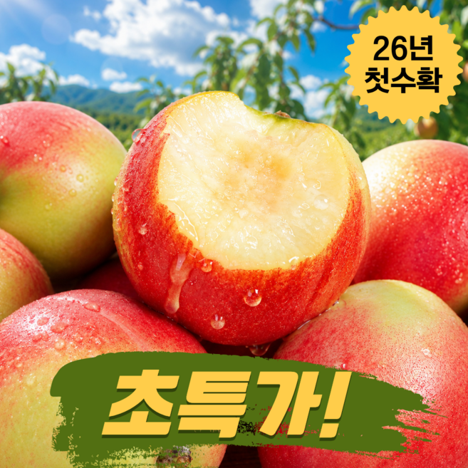[26년첫수확최저가] 당도폭발 벌꿀맛 신비복숭아 산지직송 제철과일 복숭아, 1박스, 1kg(소과)