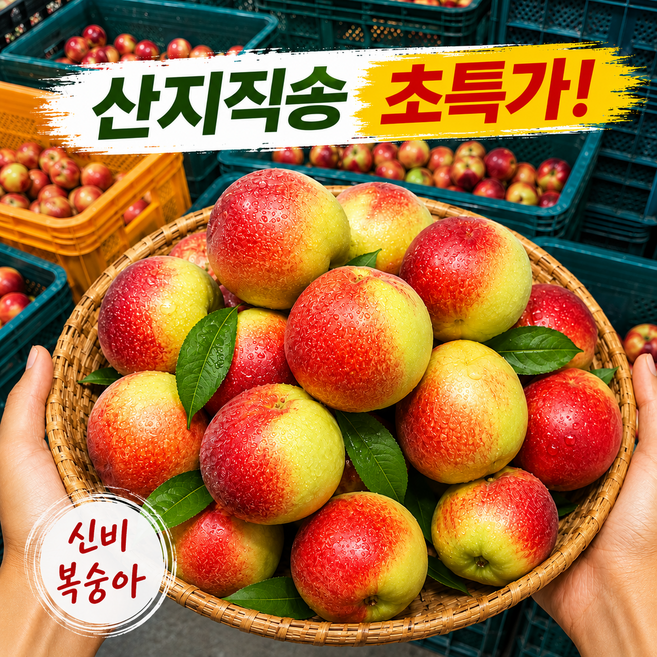 [당일 수확] 산지직송 신비 복숭아 하루 초특가 고당도 과일, 1박스, 1kg  소과