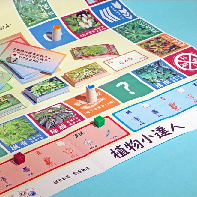 植物小達人 益智桌遊, 1個