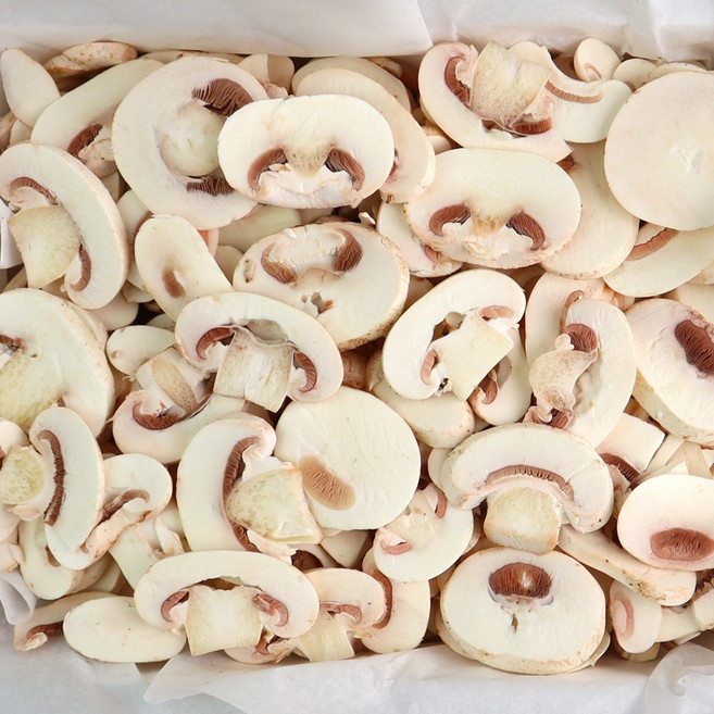 양송이버섯 2kg 슬라이스양송이 산지직송 당일수확, 단품, 단품