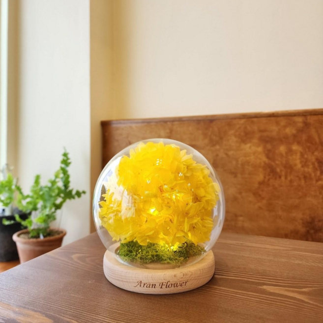 아란플라워 프리저브드 수국 라운드 무드등, 화이트