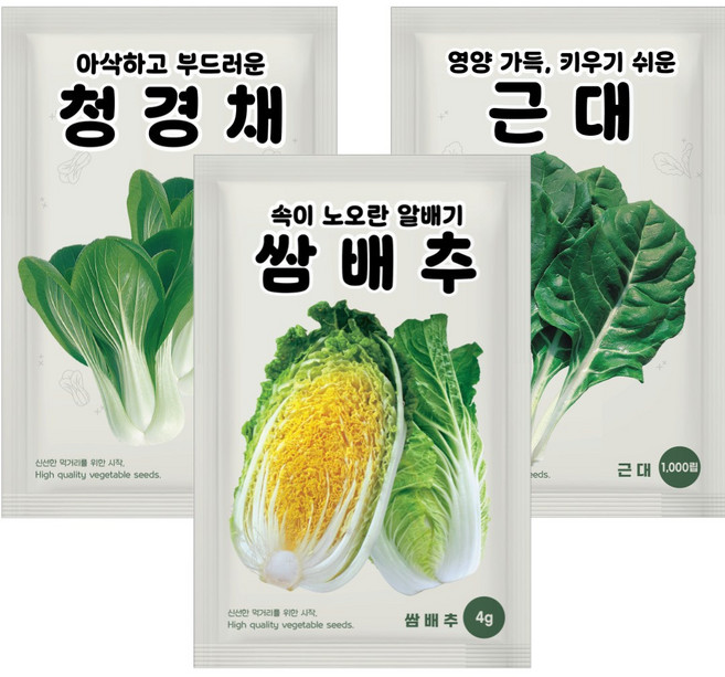 NH농우바이오 쌈배추 청경채 근대 씨앗 샤브텃밭세트 3종, 1개