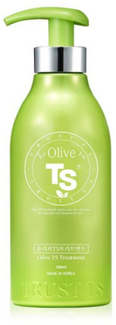 TS 올리브 티에스 헤어 트리트먼트 500g