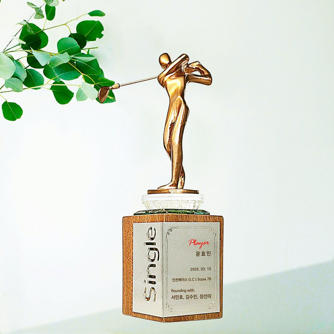 좋은상패 골프트로피 싱글트로피 골프싱글패 싱글패 골프이글패 이글패 이글트로피 이글기념패 홀인원트로피 홀인원패 JSB1 JSS1, 1개