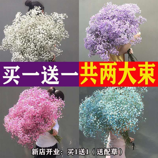 【開發票/統編】滿天星乾燥花束 客廳裝飾擺件 真花永生花 生日禮物送女友 北歐ins風家居裝飾 精選天然花材 無需澆水, 白色滿天星-1斤大束（鮮花一斤