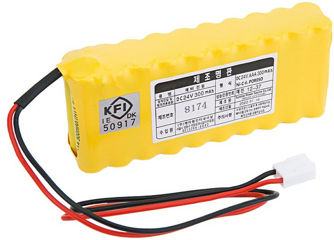 케이원 포레소 소방예비전원 DC 24V AAA 300mAh (2x10), 1개
