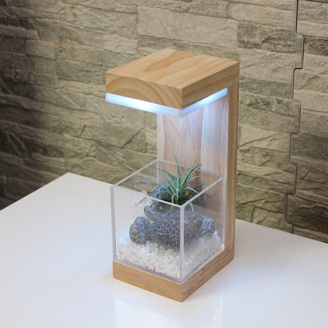 파인굿즈 원목 플랜테리어 LED 식물 무드등 수유등 침실등 집들이선물, 원목식물무드등