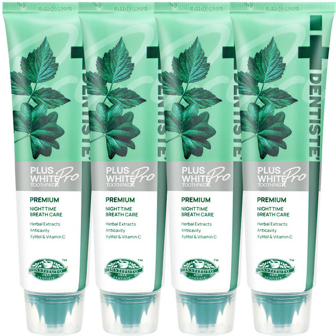 덴티스테 뉴 플러스화이트 치약 튜브, 100g, 4개