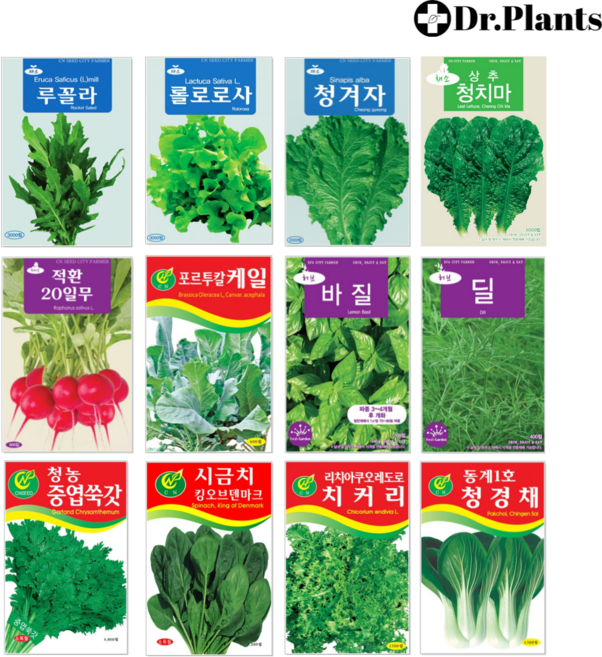 그로단 파종하면 잘자라는 씨앗모음 상추키우기 허브키우기 유럽상추 닥터플랜츠, 청오크