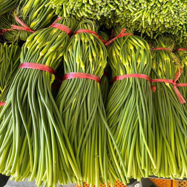 늘푸른농산 산지직송 마늘종 남해 햇 마늘쫑, 1박스, 1kg(특품)