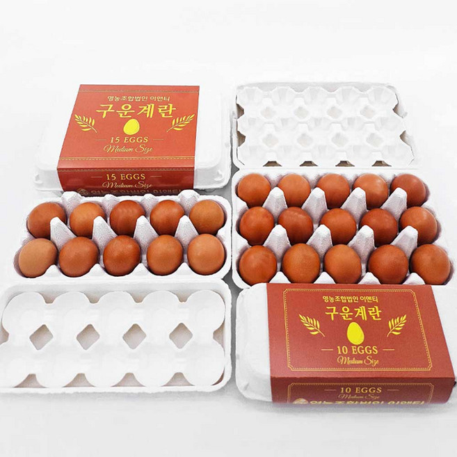[HACCP인증 100%국내산] 파손보상 대란 구운계란, 1개, 10구