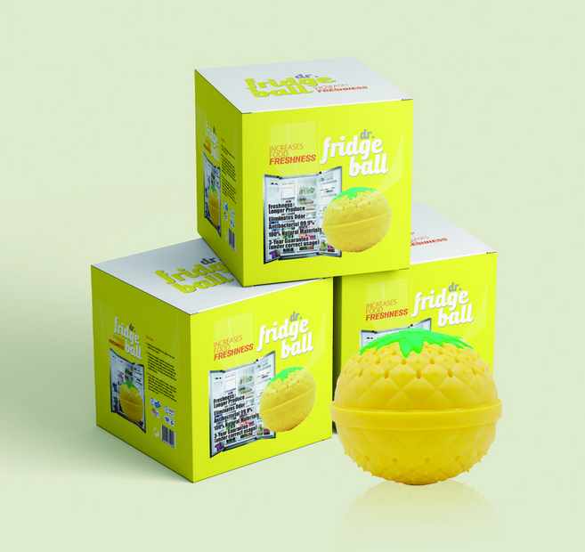 웰로스 냉장고 탈취제 부패가스 흡수 3년 재사용 식중독 원인균 제거 수출정품, 1개