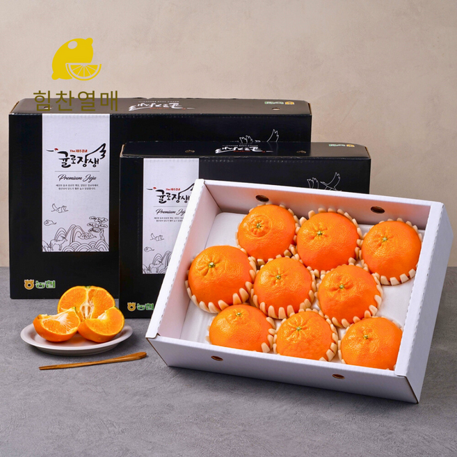 [명절특가] 제주 레드향 선물세트 프리미엄, 1박스, 3kg (보자기 포장)