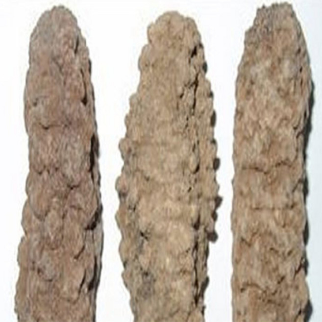 가격이 싼 건해삼 2마리 마리당 1000원대 요리용 별도판매 큰건해삼 한국 즉석조리가능 반건조해삼 한국건해삼가루 선택가능, 2개, 싼건해삼