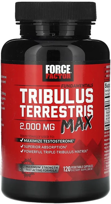 포스팩터 펀더멘탈 트리블러스 테러스트리스 맥스 2 000mg 베지 캡슐 120 정(캡슐 1정당 500mg), 1개, 120캡슐, 120정 - 쿠팡