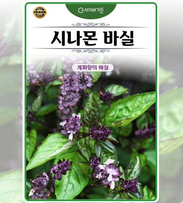 바질 시나몬 (멕시칸바질) 100립 식용허브 샐러드용 다년생 일년생 향기좋은허브