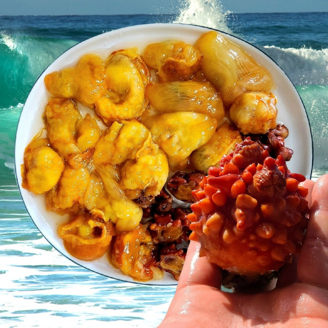 통영 생물 깐멍게 손질 멍게 산지직송 멍게살 띵작상점, 1개, 1.5kg, 깐멍게 (500gx3팩)