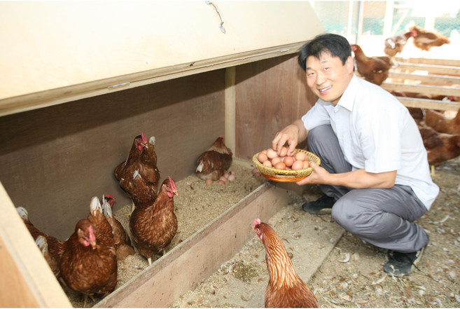 행복한 닭이 낳은 금쪽같은 무항생제 유정란 오늘 낳은 무항생제 인증 달걀 20알, 1박스, 40구