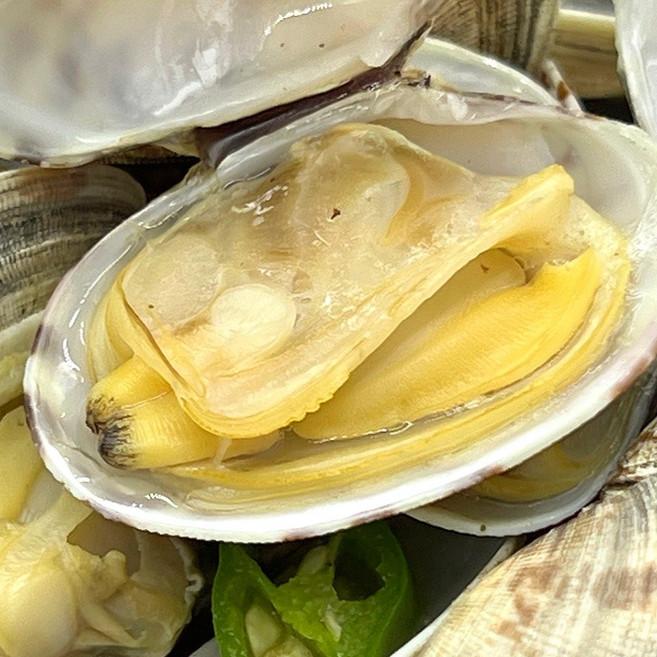 갯벌 활바지락 해감완료 당일발송 오올블루, 2개, 500g