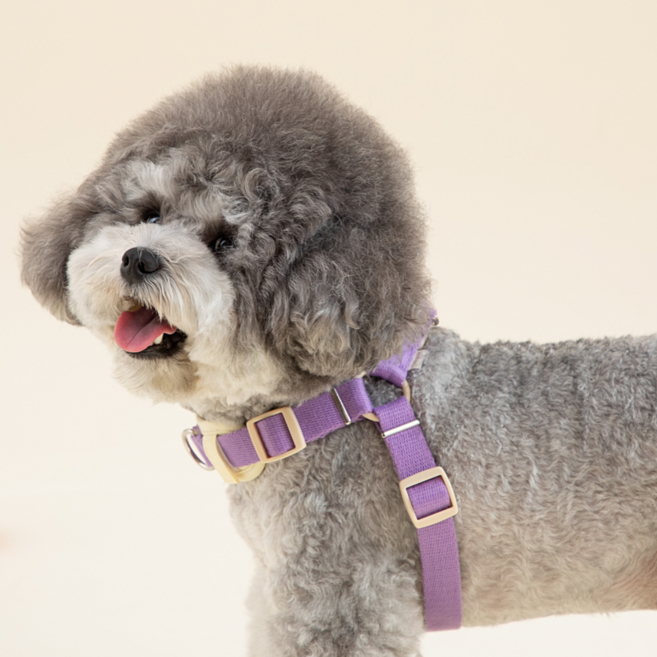 힛찌 초경량 강아지하네스 이지워크 Y형 앞섬방지 앞고리 L자하네스 초소형견 소형견 중형견 가슴줄, 민트그린, 1개