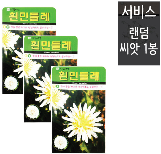 흰민들레씨앗 100립 ( 3봉 + 랜덤씨앗1봉 ) 흰민들레 민들레 꽃씨앗 야생화, 1개