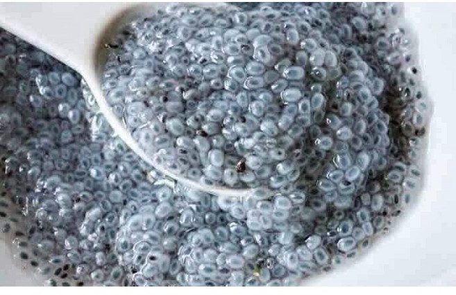 World Basil Seeds(바질씨드), 1개