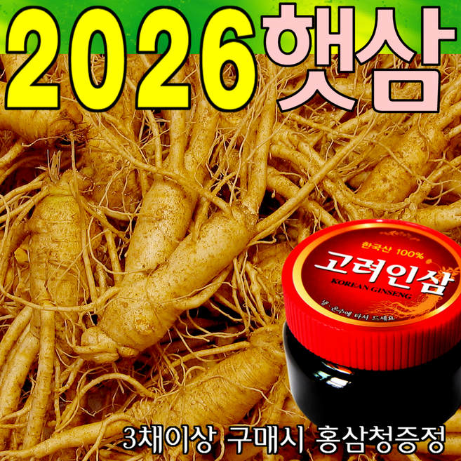 인삼 A형 콩난발삼 750g 산지에서 발송 가정용 수삼 판매자/금산인삼아줌마(김은자), 콩난발삼(A형) 750g, 1개
