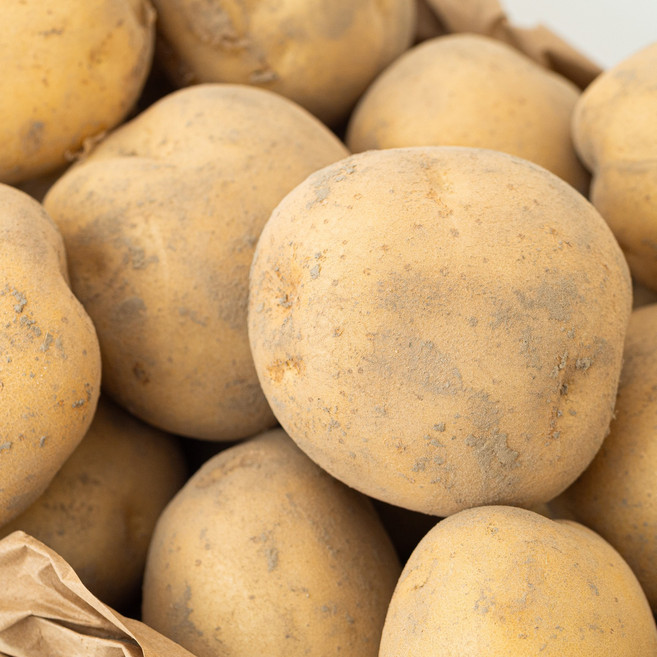 [2026년 햇감자] 포슬포슬 착한손 수미감자, 감자 (찜용), 1개, 2.5kg