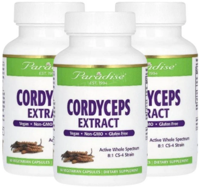 Paradise Cordyceps 동충하초추출물 400mg 60캡슐 3개 코디셉스 CS4, 60정 - 쿠팡