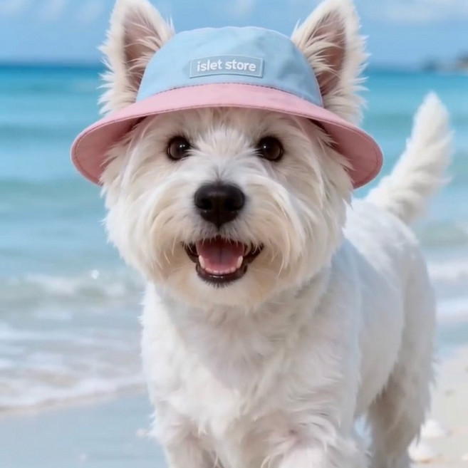 islet store 寵物漁夫帽 狗狗遮陽帽 貓咪帽子, 1個, 臉圍40～45公分, 藍粉漁夫帽