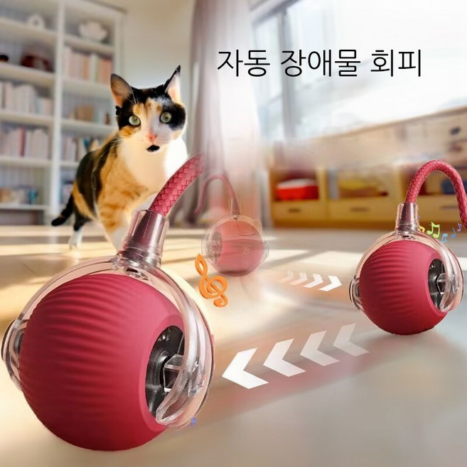 윈티크 고양이 꼬리잡기 스마트볼 공놀이 장난감, 1개, 레드