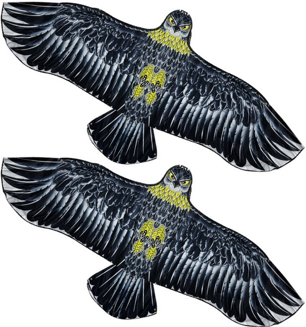 센스팟 검은독수리연 + 연타래 랜덤발송 세트, 2세트