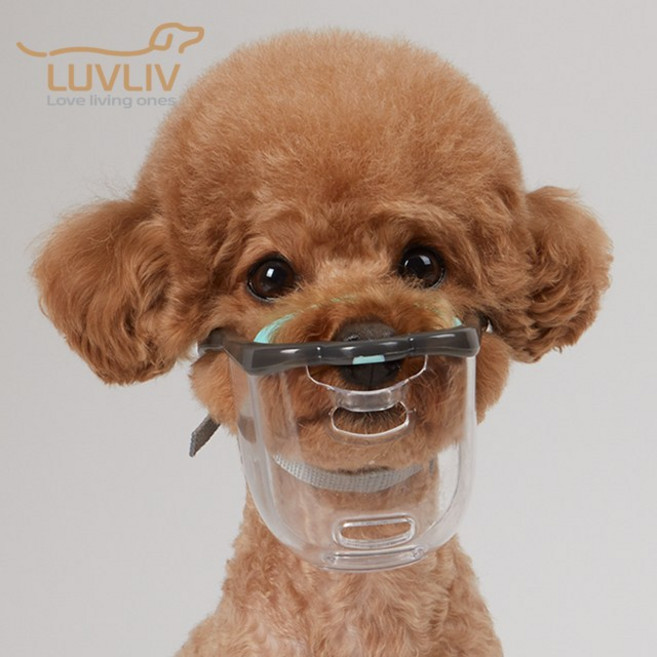 루브립 마우스핏 강아지 투명 입마개, DCM-B-BR(베리 브라운), 1개