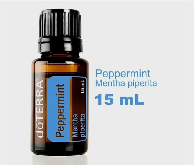 도테라 페퍼민트, 15ml, 1개