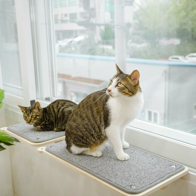 캣돌 고양이 창문 창틀 선반 캣타워, 그레이, 1개