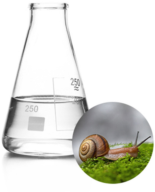 달팽이점액추출물, 1개, 5L