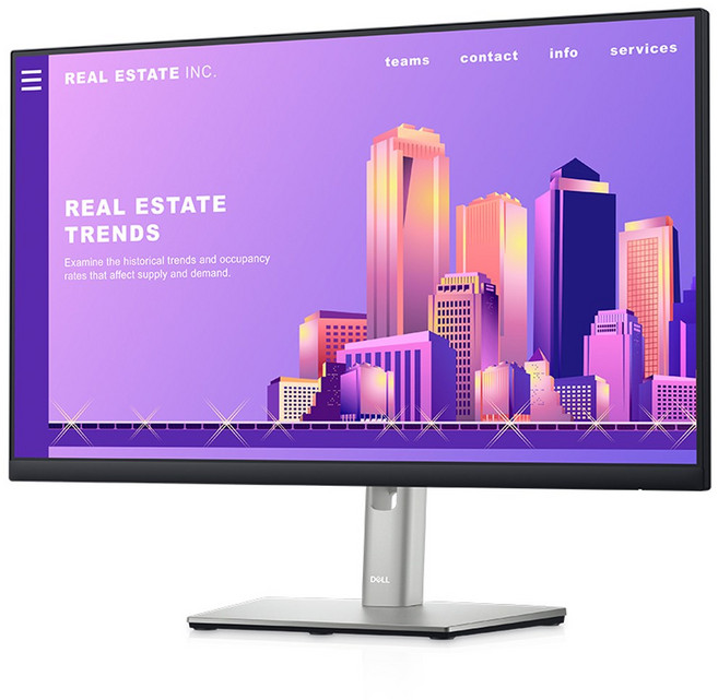 델 FHD 24 모니터, 60.96cm, P2422H