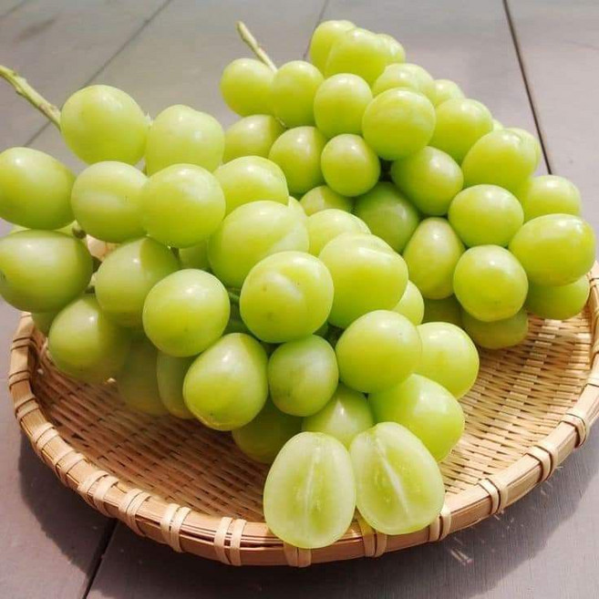 [특등급] 고당도 프리미엄 샤인머스켓 2수 2.1KG, 1개