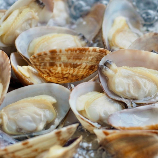 [재구매율95%] 더좋은 남해안 왕바지락 바지락, 1개, 왕바지락1kg