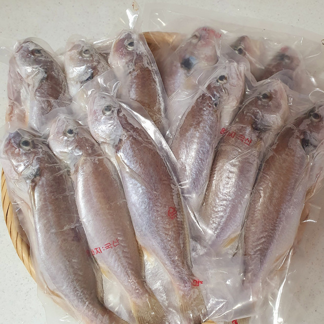 제주백조기 쫄깃하고 오동통한 흰살생선 통백조기2kg(12미), 1개, 통백조기중 1kg(6미)