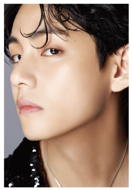 방탄 디아이콘 디페스타 포토북 & 포토카드 뷔 / BTS DICON D'FESTA PHOTOBOOK & PHOTOCARD V