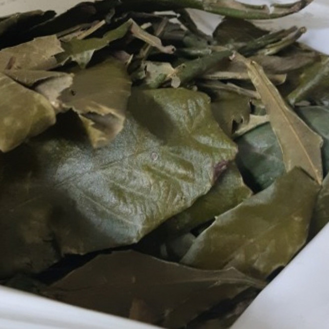 청량하고 깨끗한 풍미 국내산 비파엽 비파나무 비파잎차, 1세트, 300g