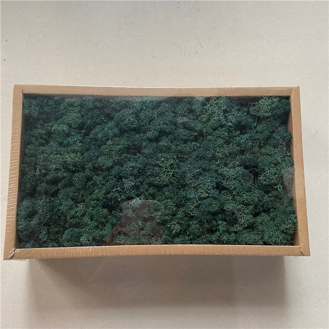 永生花苔蘚 花藝材料 馴鹿苔 永生水草, 017墨綠